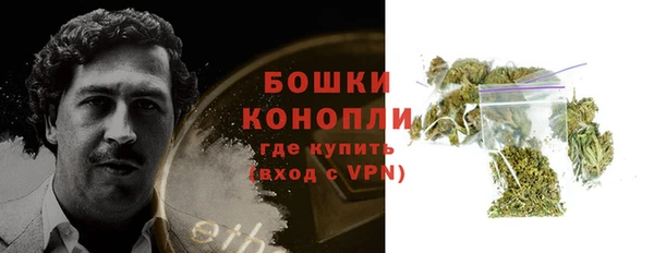 ГАЛЛЮЦИНОГЕННЫЕ ГРИБЫ Алексин