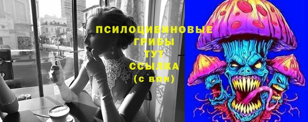 ГАЛЛЮЦИНОГЕННЫЕ ГРИБЫ Алексин