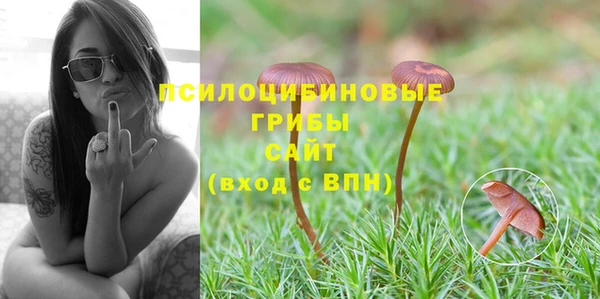 ГАЛЛЮЦИНОГЕННЫЕ ГРИБЫ Алексин
