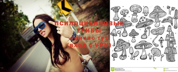 ГАЛЛЮЦИНОГЕННЫЕ ГРИБЫ Алексин