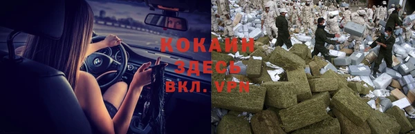 тгк Пересвет