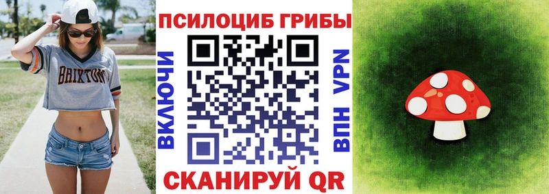 blacksprut   Урай  Псилоцибиновые грибы MAGIC MUSHROOMS 